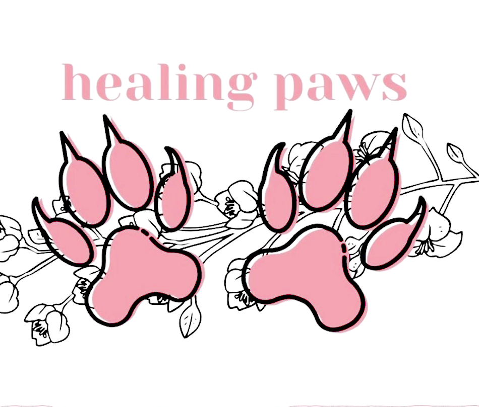 In pink font, 'healing paws' is written, with two pink paws below, in front of a sketch of flowers.